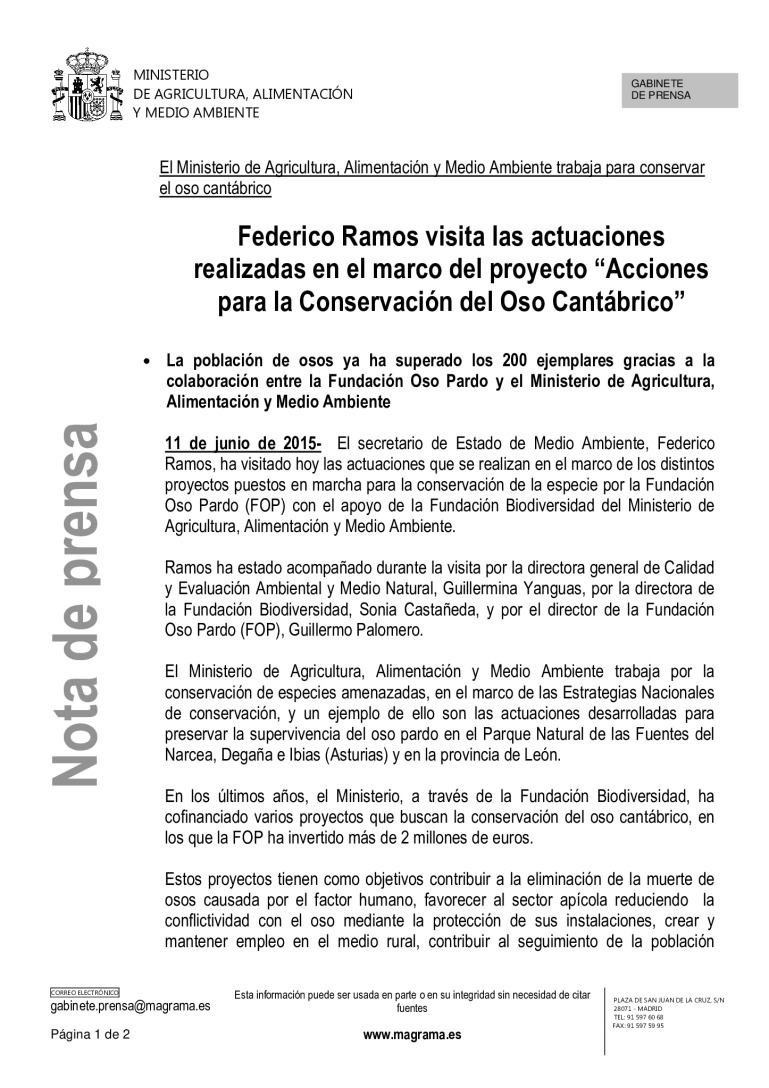 miniatura pdf