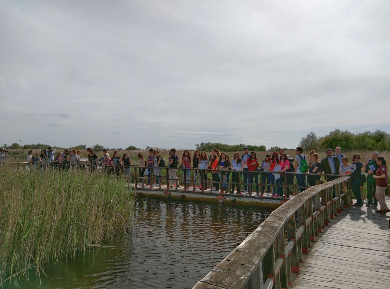 Taller de información ambiental para periodistas