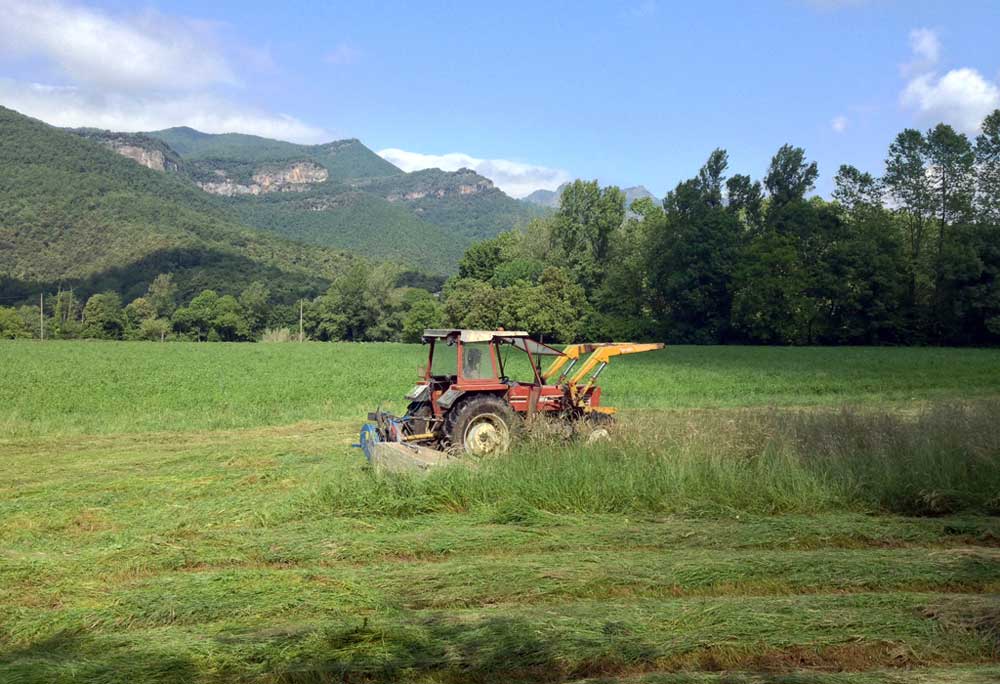 Custodia del Territorio, Paisatges Vius