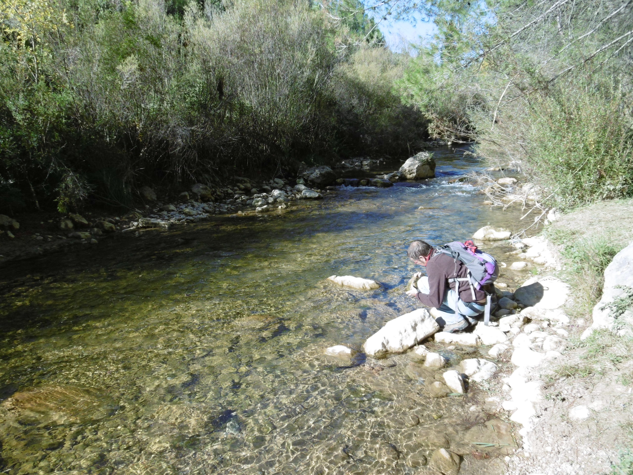 Propuesta de creación de nuevas Reservas Naturales Fluviales y fomento de las mismas
