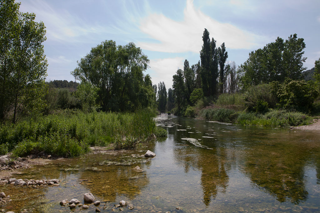 Experiencia de restauración fluvial participativa en el contrato del  Río Matarraña