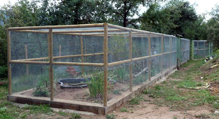 Actividades para la conservación de la náyade, el cangrejo de río ibérico y el visón europeo