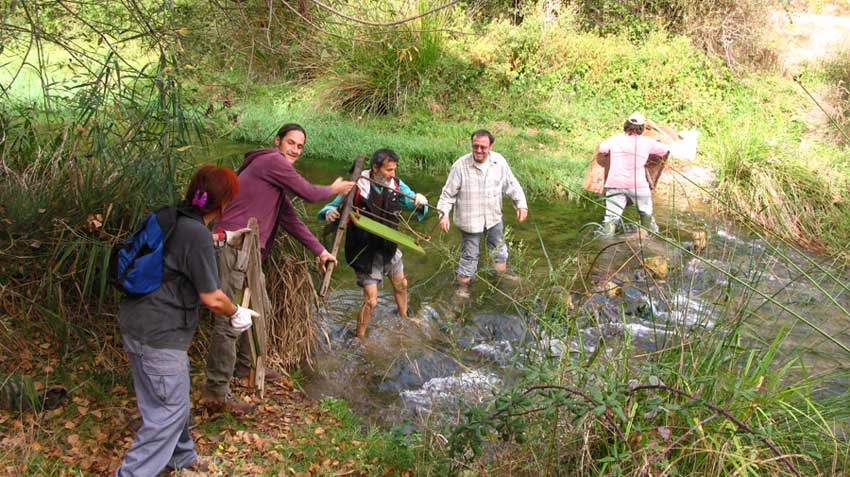 Voluntarios limpiando ríos