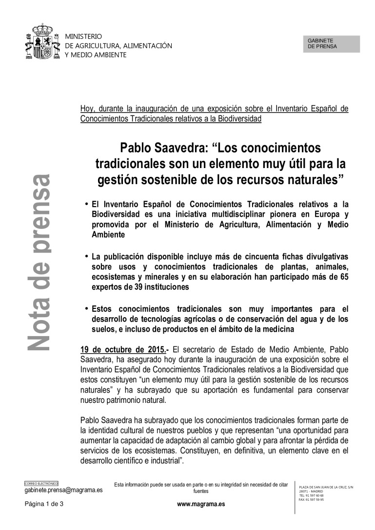 miniatura pdf