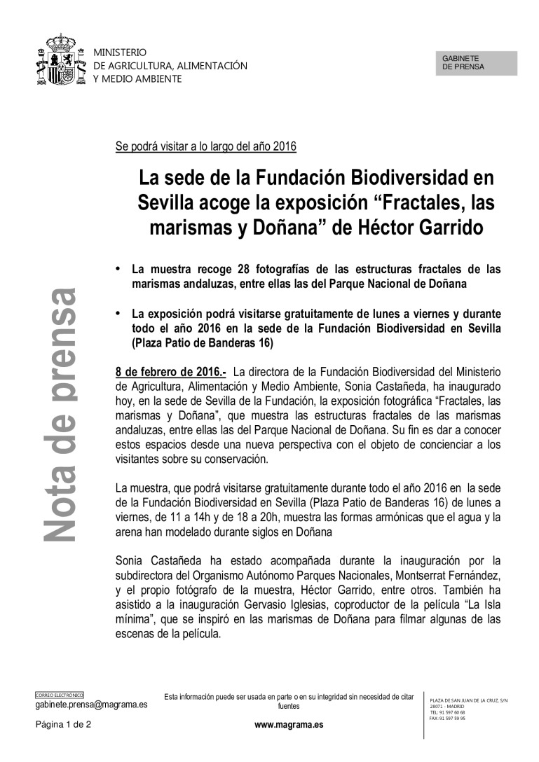 miniatura pdf