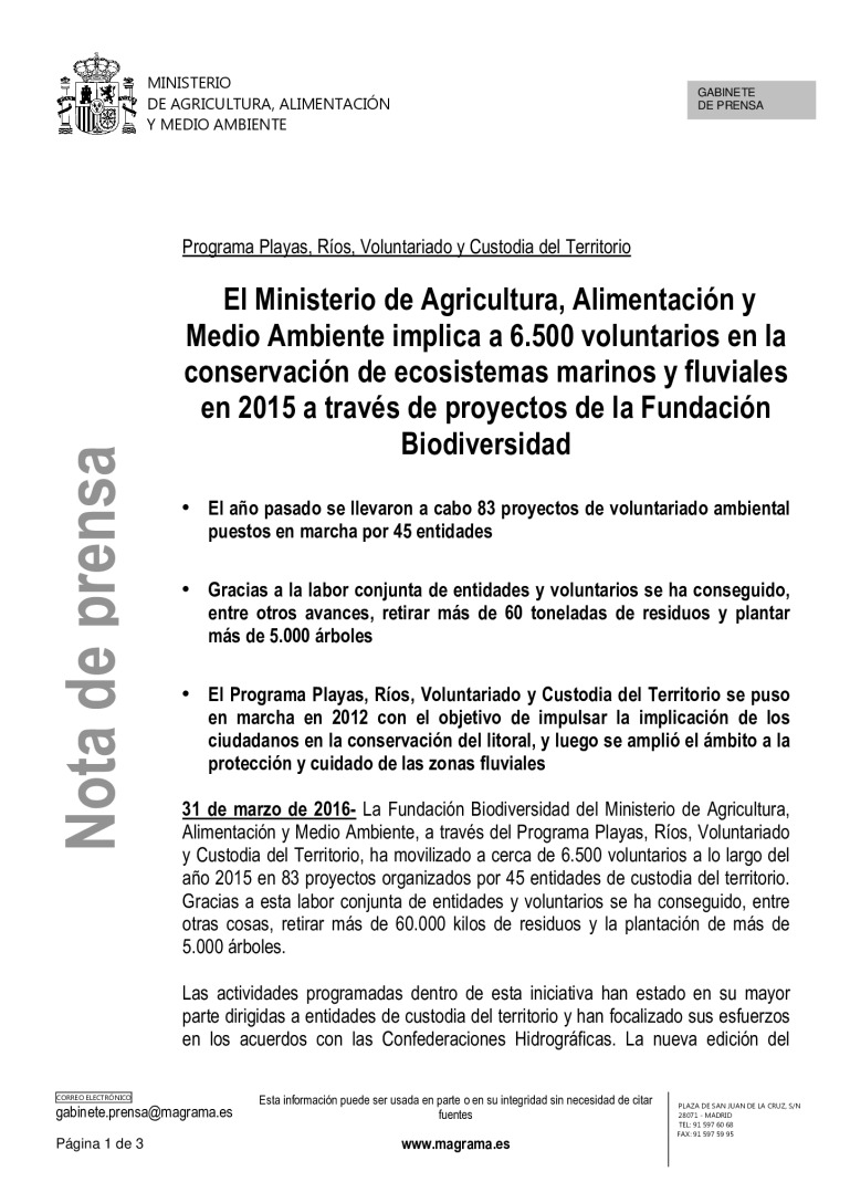miniatura pdf