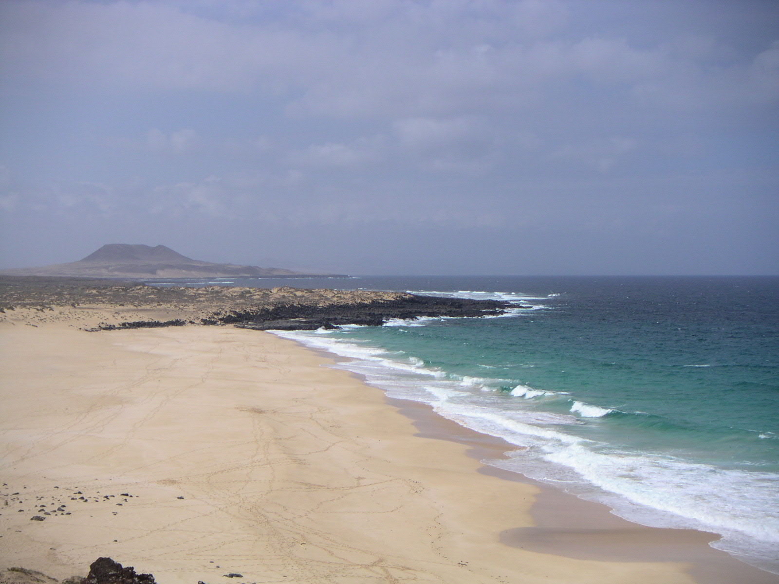 Trabajando por la conservación de los arenales y humedales costeros en el sureste ibérico