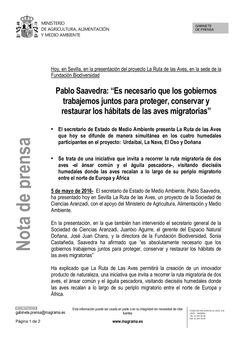 miniatura pdf