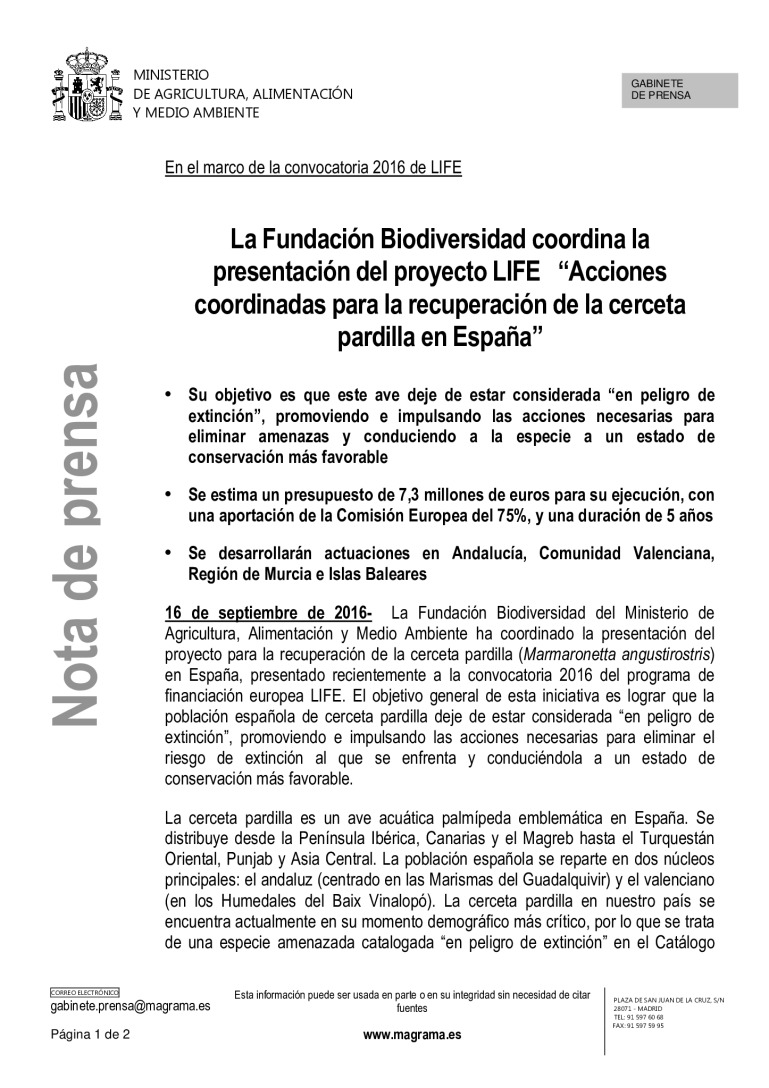 miniatura pdf