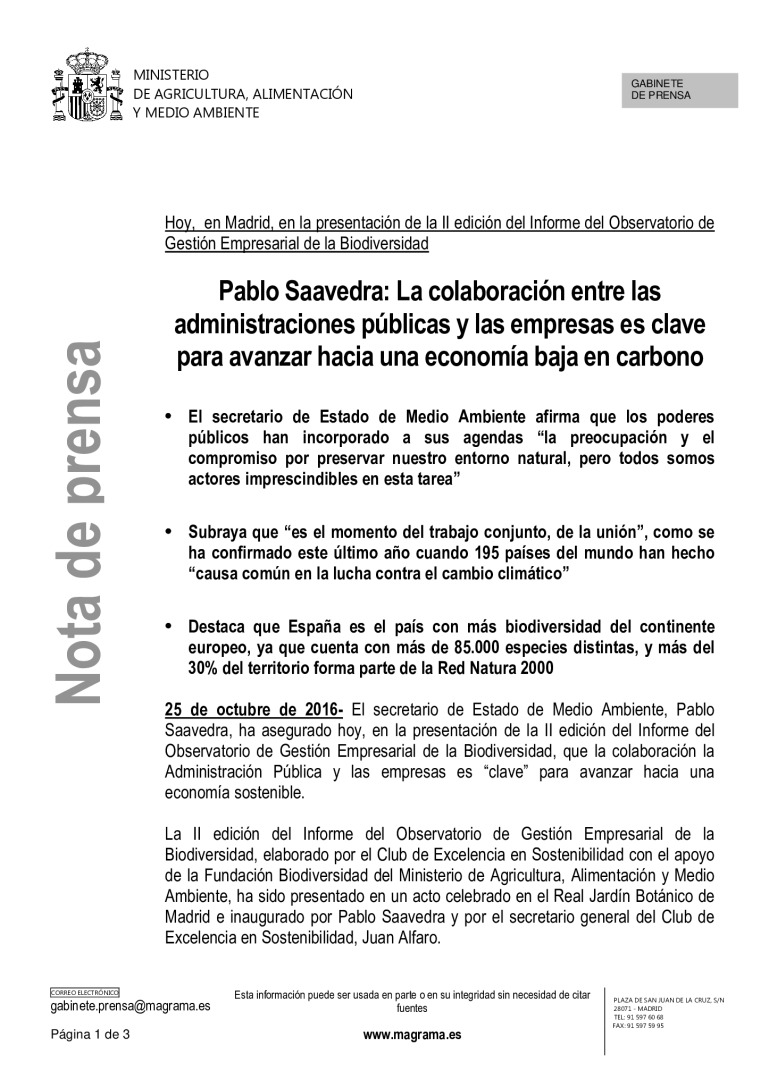 miniatura pdf