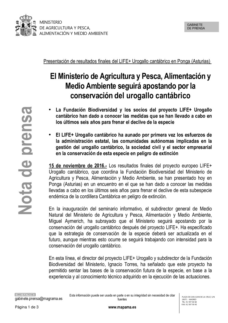 miniatura pdf