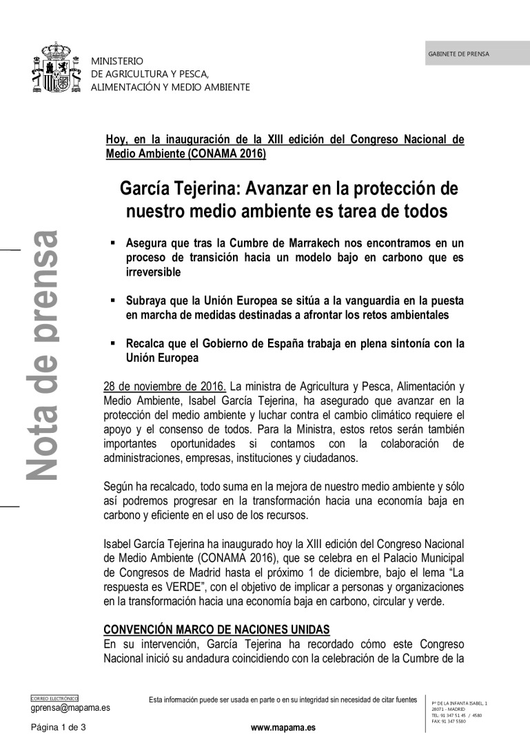 miniatura pdf