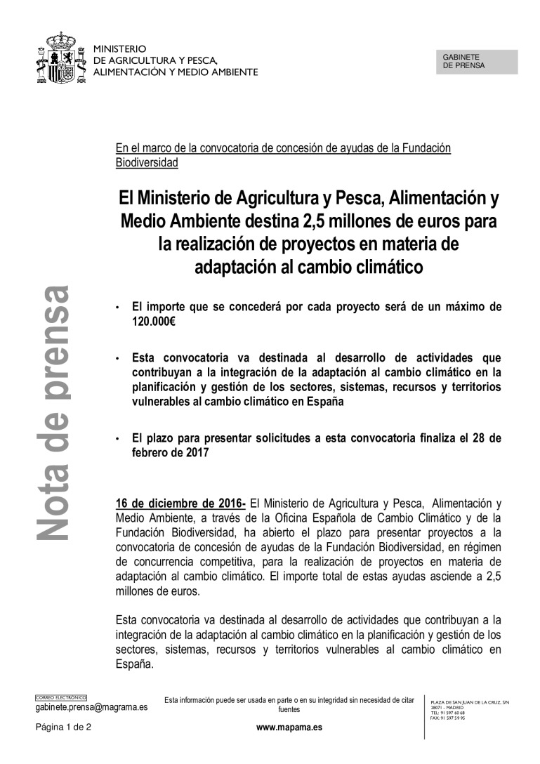 miniatura pdf