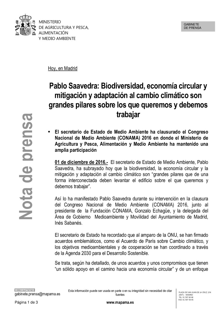 miniatura pdf