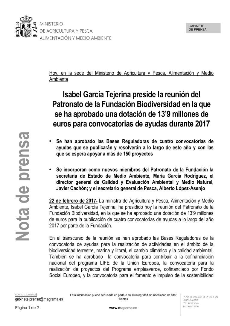miniatura pdf