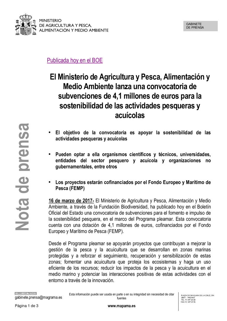 miniatura pdf
