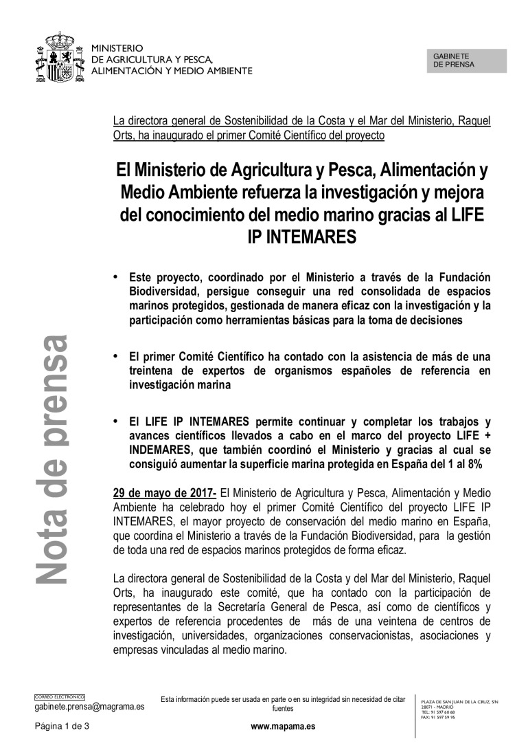 miniatura pdf