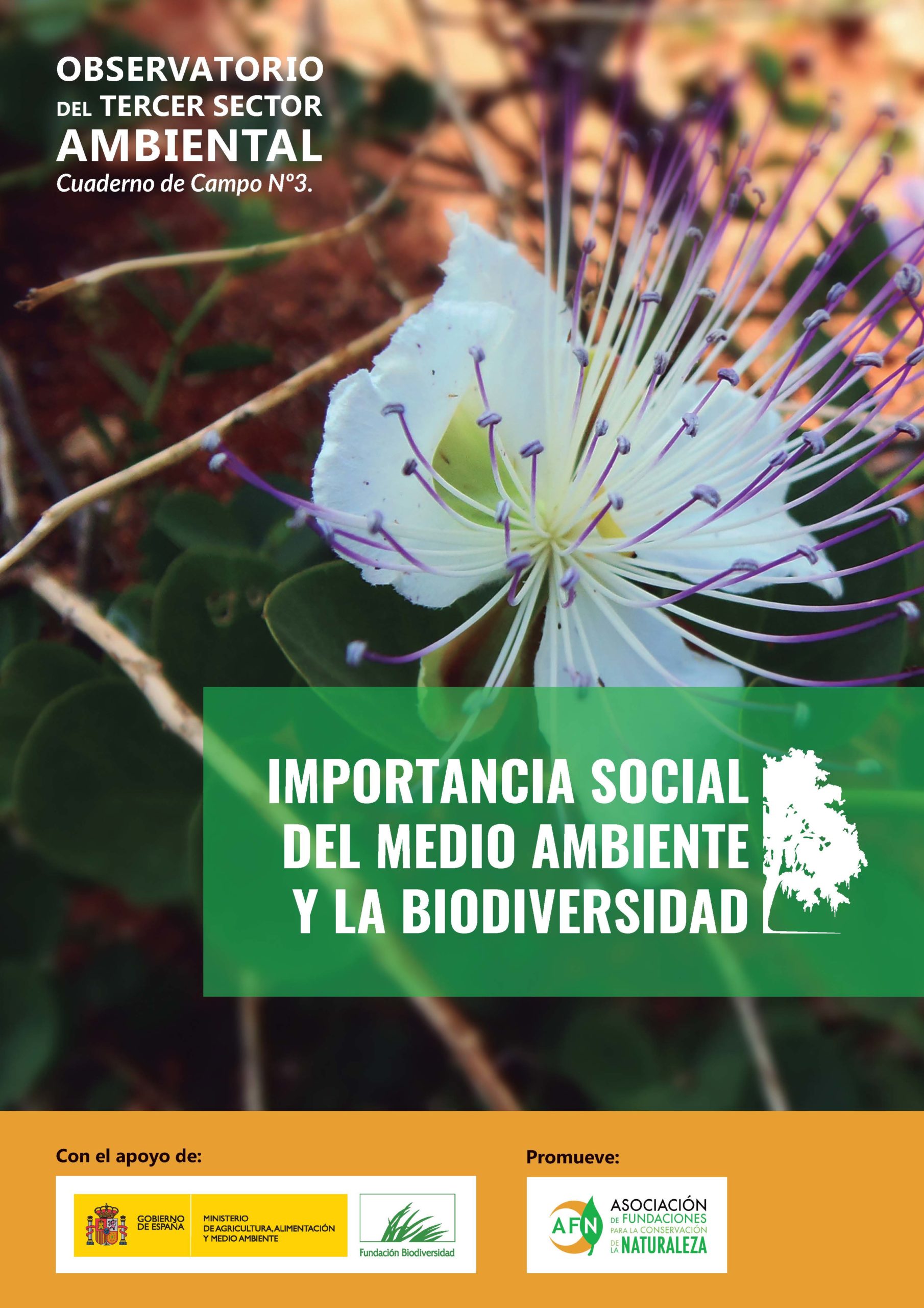 Seguimiento, análisis y difusión de nuevas políticas en materia de biodiversidad