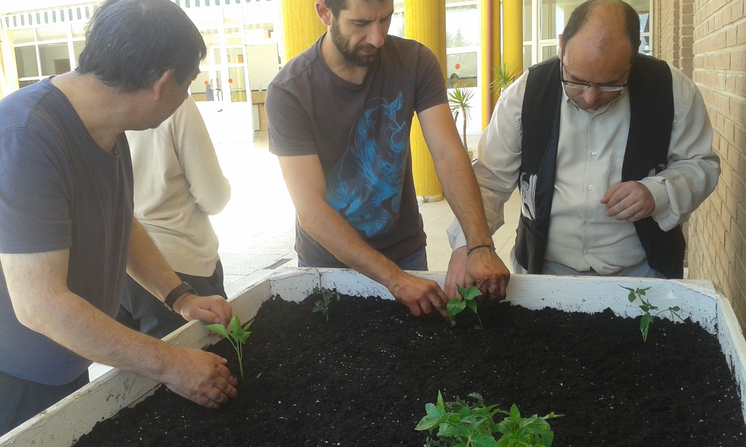 Voluntariado inclusivo: naturaleza para todos