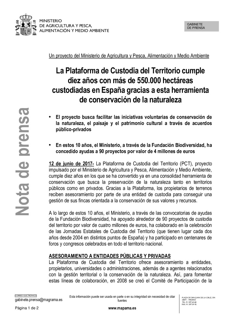 miniatura pdf
