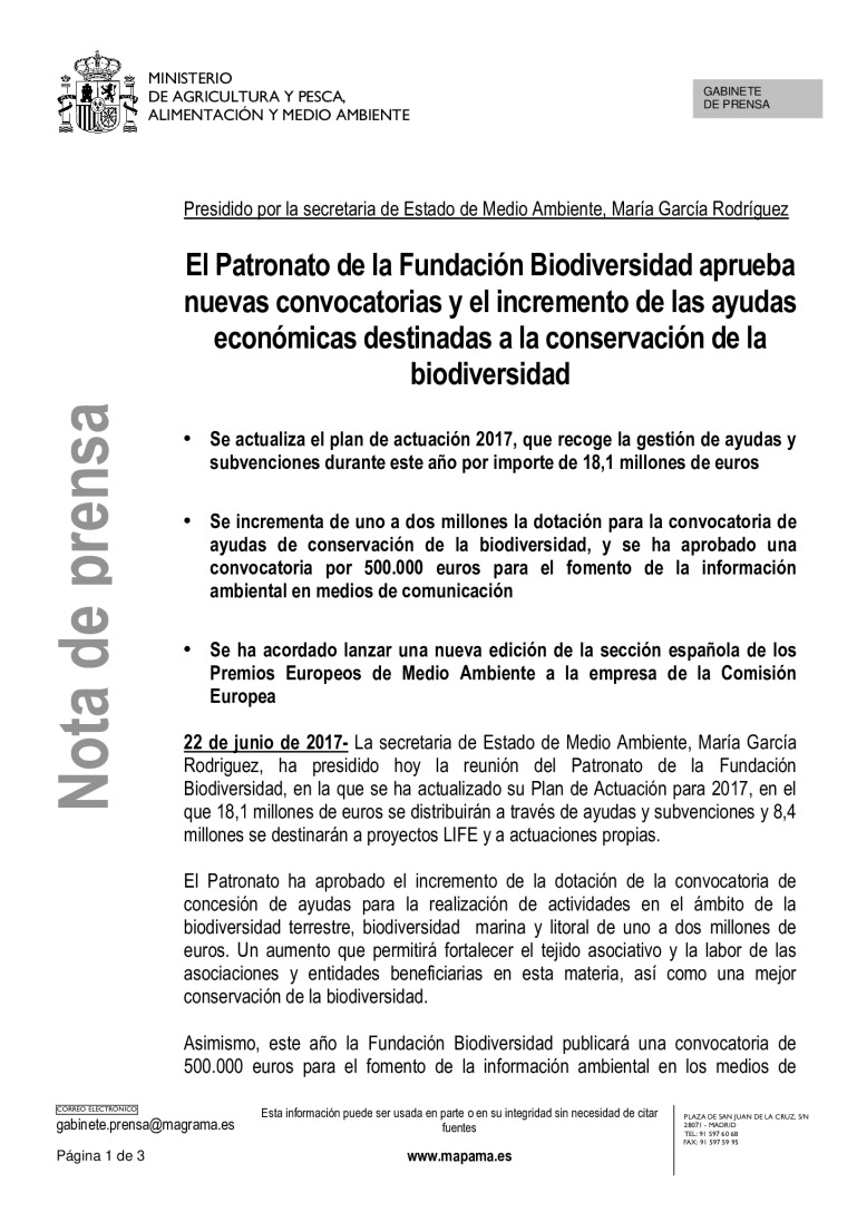 miniatura pdf