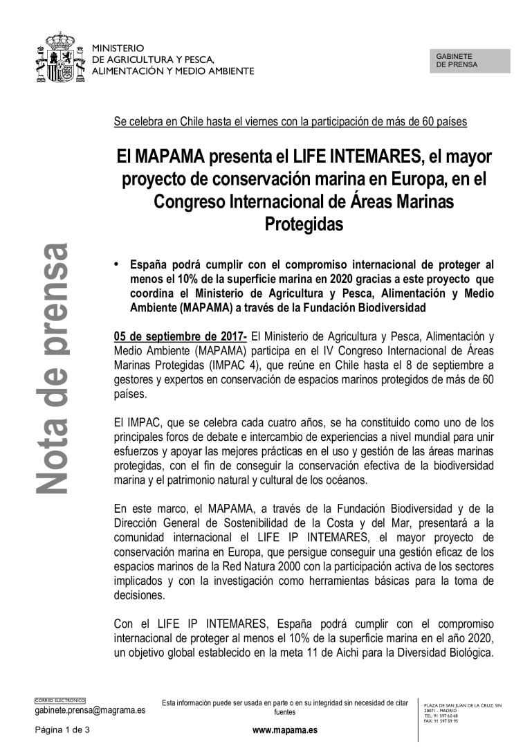 miniatura pdf