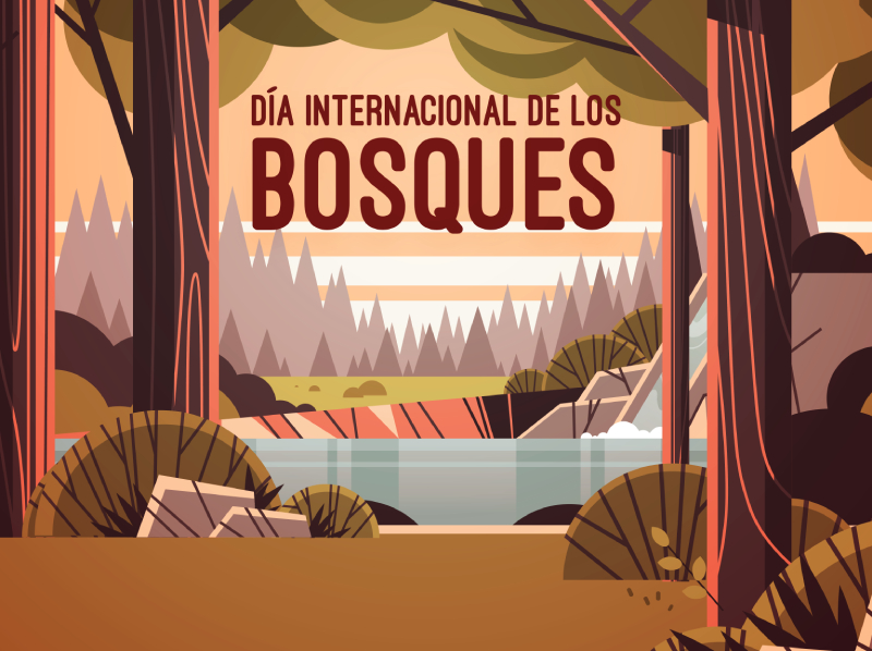 Día Internacional De Los Bosques - Fundación Biodiversidad