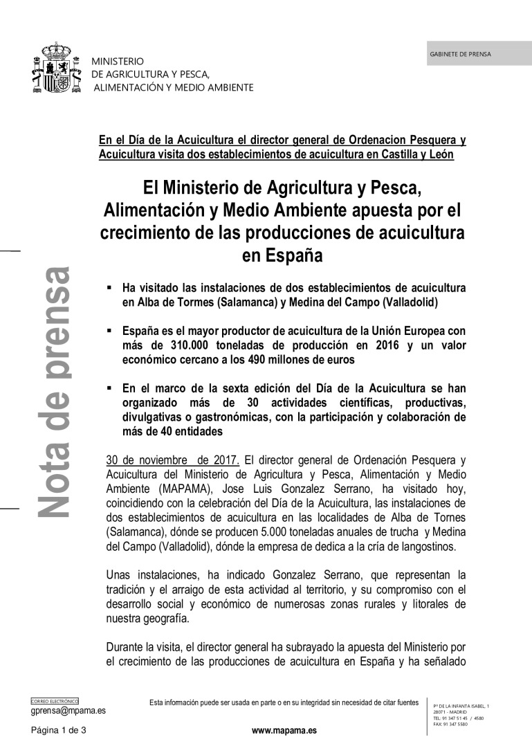 miniatura pdf