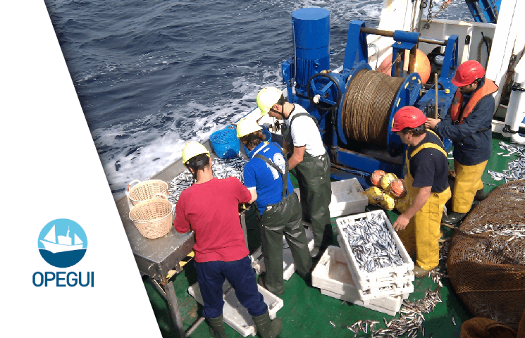 NETFISH – Generación de una red de trabajo de la industria pesquera cantábrica y los científicos de AZTI