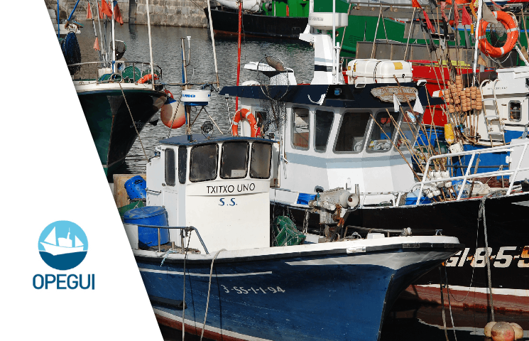 CANARD – El impacto de la Obligatoriedad de los Desembarcos en las flotas artesanales y en el ecosistema marino del Cantábrico