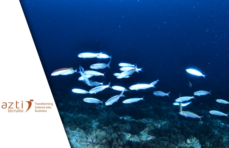 SOSCANO – Nueva gobernanza para la mejora de la sostenibilidad en la gestión de los recursos pesqueros y del medio marino del caladero cantábrico noroeste