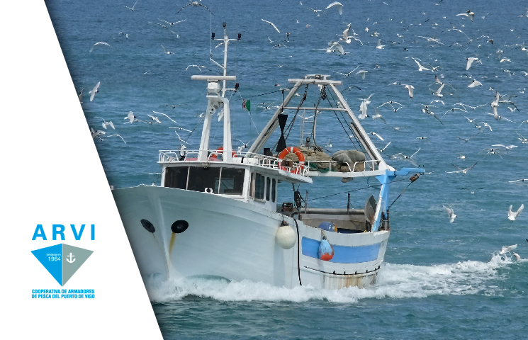 ESPANTAVES – Reducción de las tasas de captura incidental de aves marinas en el sector pesquero extractivo mediante el diseño de medidas de mitigación