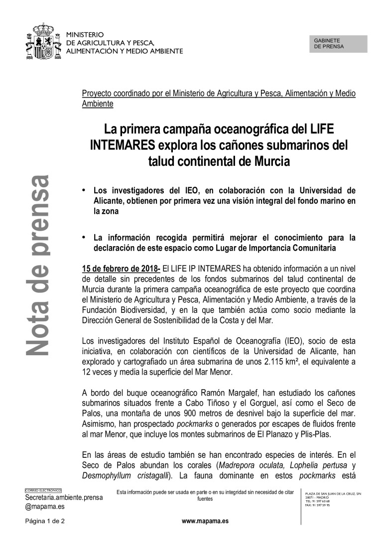 miniatura pdf