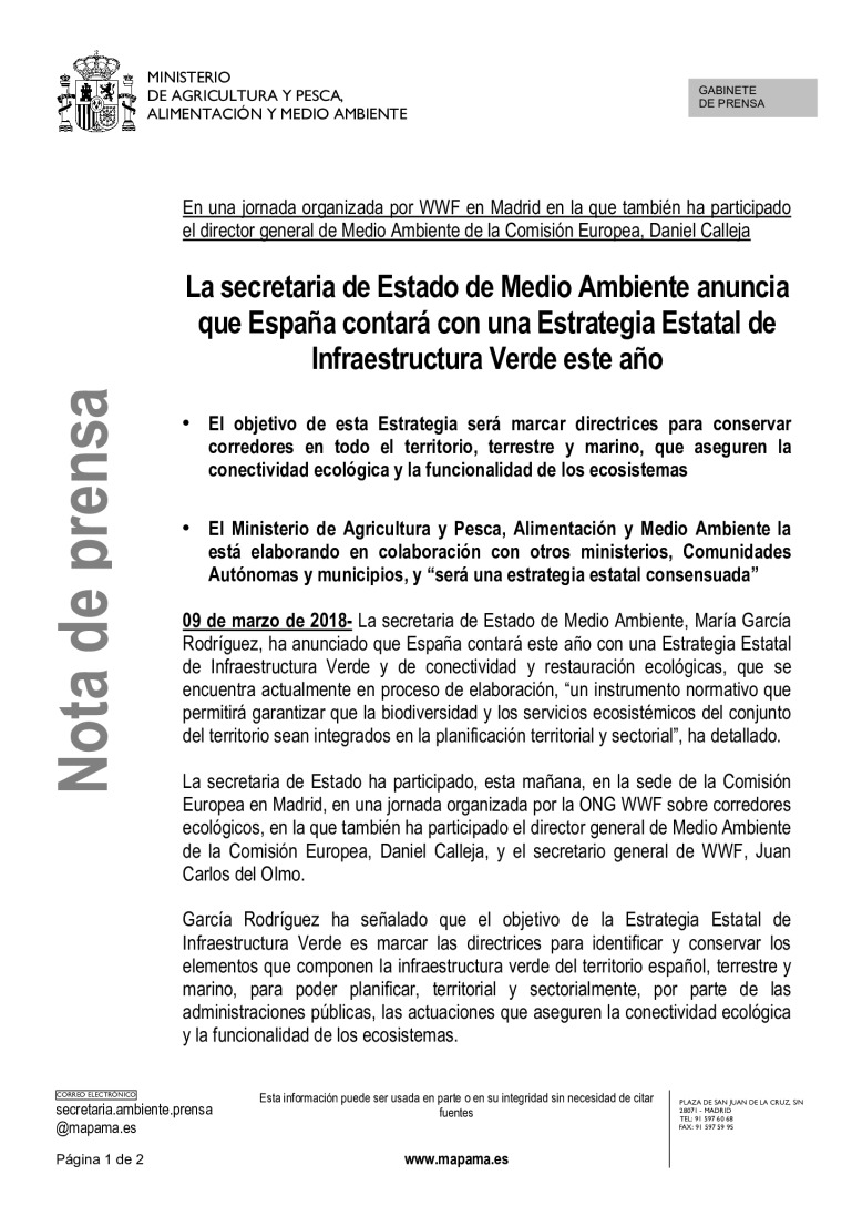 miniatura pdf