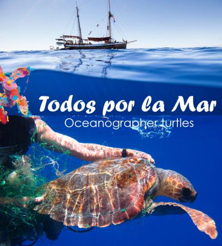 proyecto tortugas