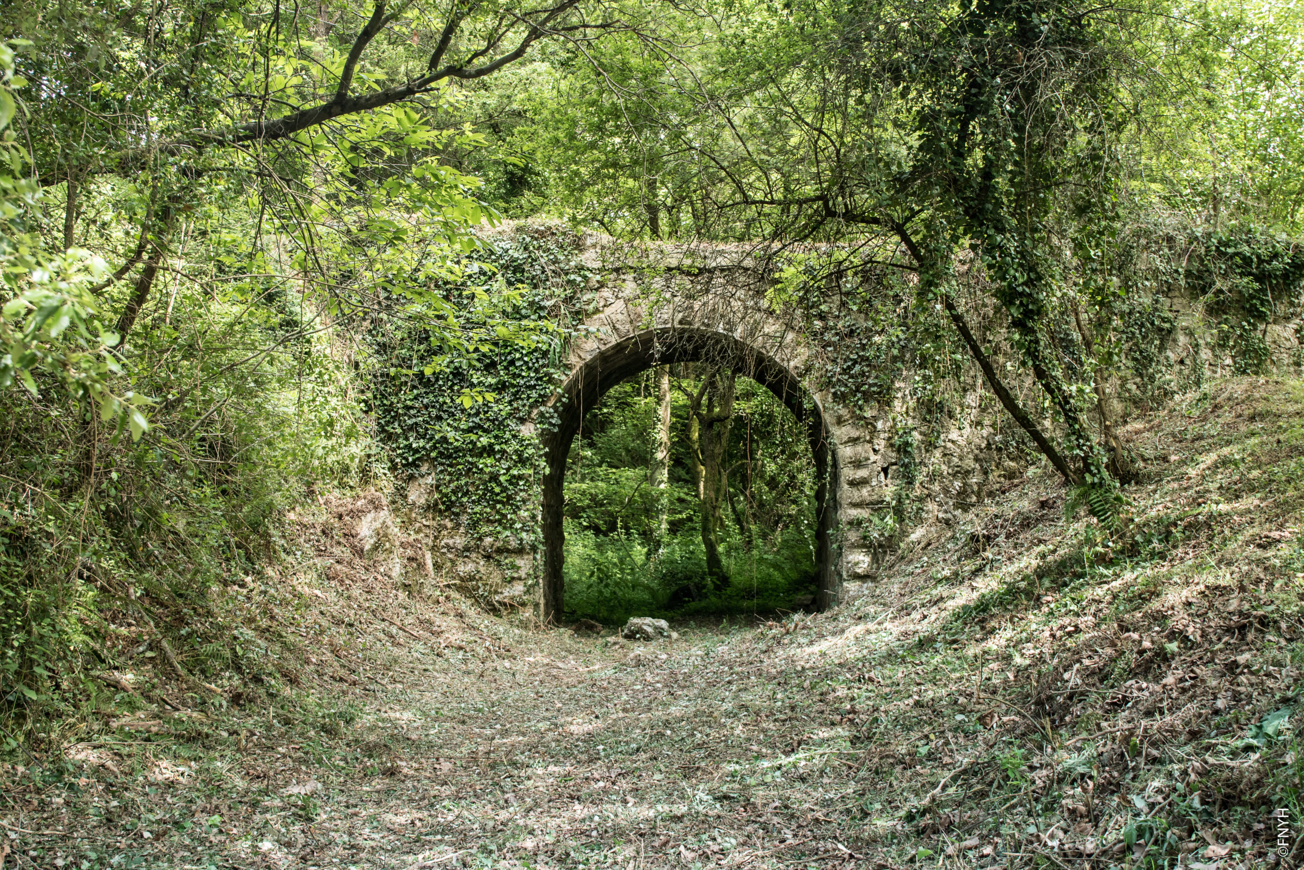 LIFE+ Naturaleza y Biodiversidad Anillo Verde de la Bahía de Santander: Conectando la naturaleza y la ciudad