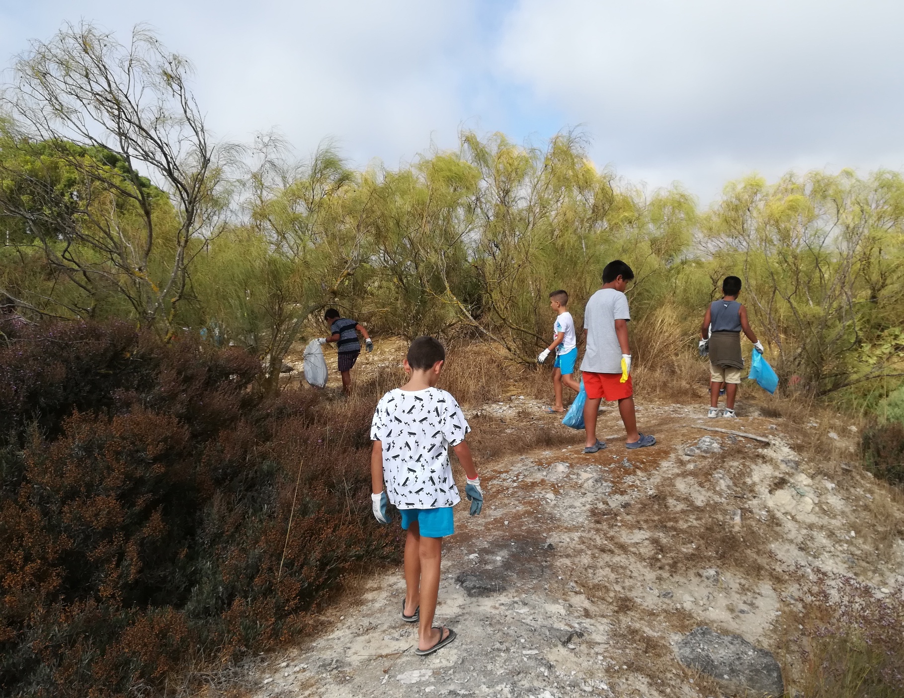 Programa de Voluntariado Ambiental 2018