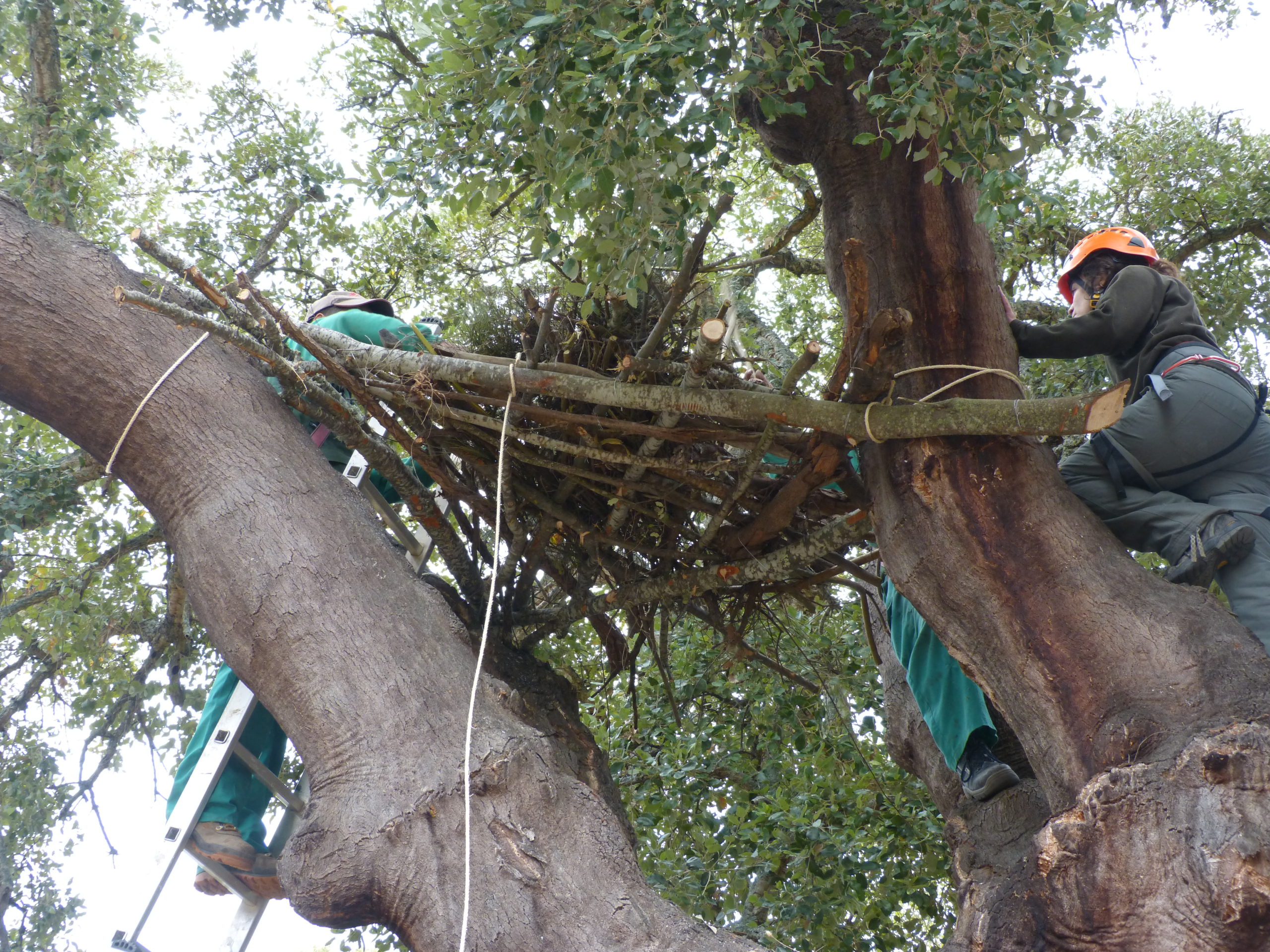 Fundación Naturaleza y Hombre