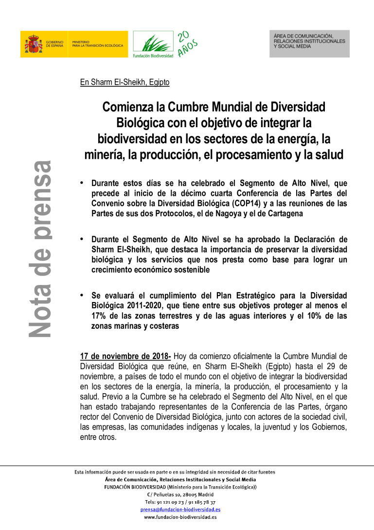 miniatura pdf