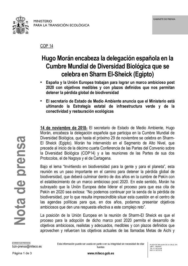 miniatura pdf