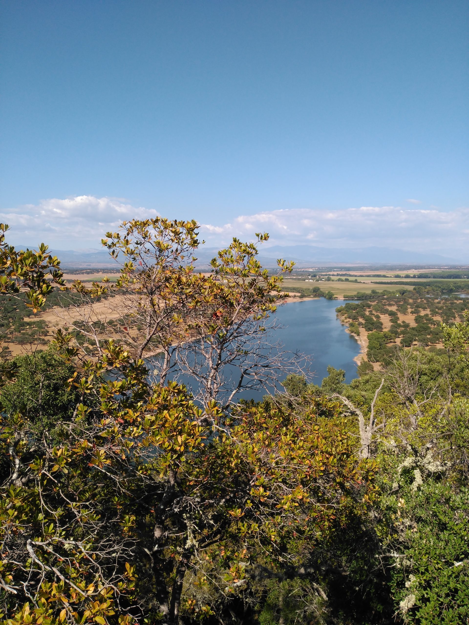 Bosque mixto mediterráneo en el Parque Nacional de Monfragüe. Autor: Marta Pardos