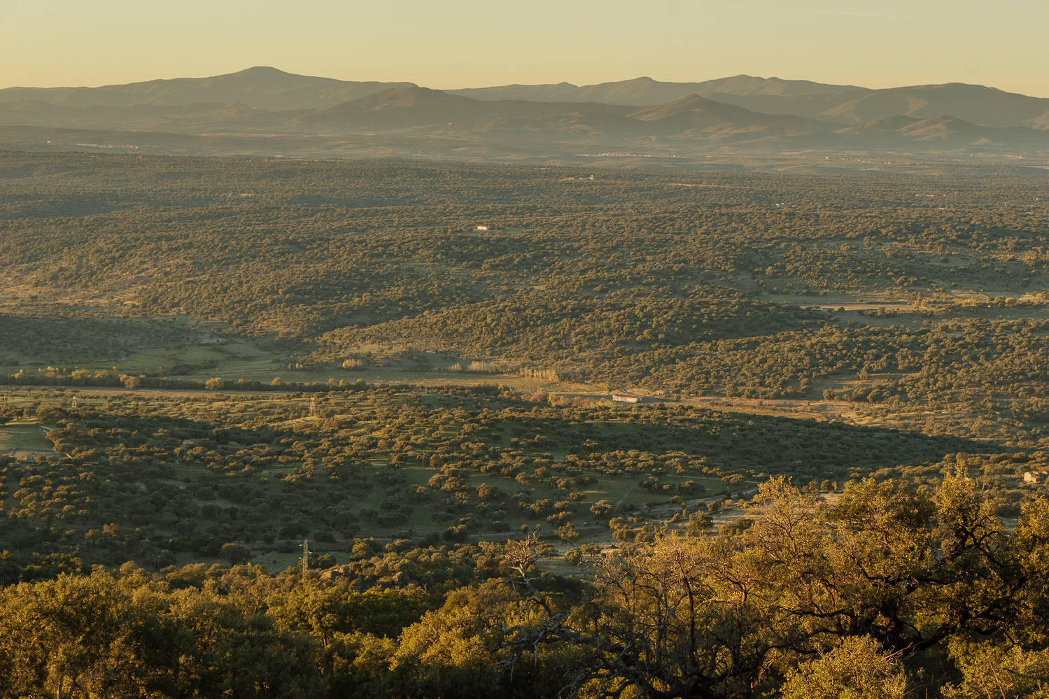 Atardecer en la dehesa del norte de Cáceres. Autor: Víctor Rolo