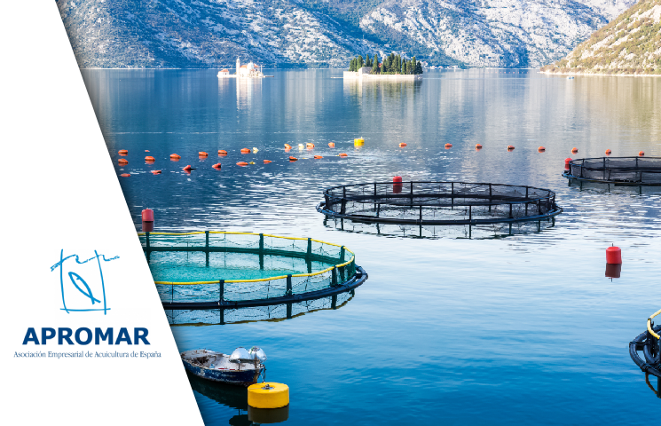 AQUAHUB – Fortalecimiento del trabajo en red del sector de la acuicultura marina española en el Marco del Crecimiento Azul, como Estrategia de Competitividad y Sostenibilidad