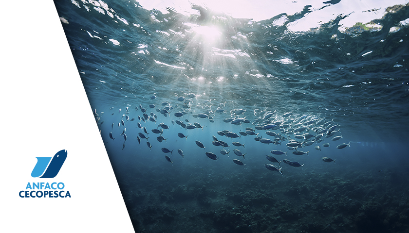 ALTERNFEED – Sustitución de harina y aceite de pescado por productos y subproductos alternativos