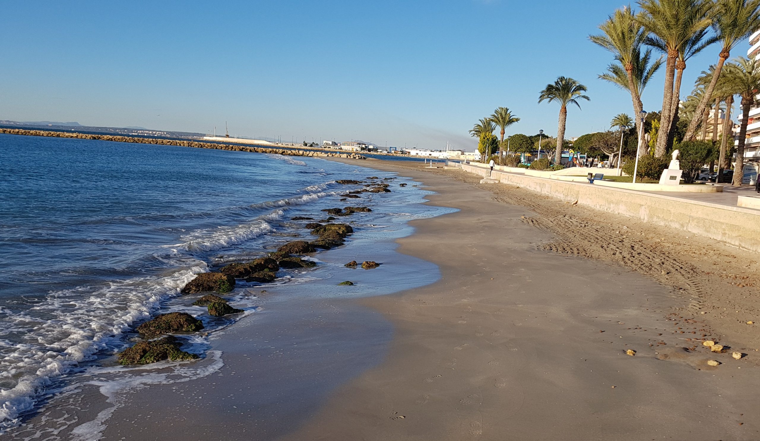  El proyecto pretende optimizar la gestión de los restos de posidonia oceánica para mitigar la erosión costera y adaptarse al cambio climático.