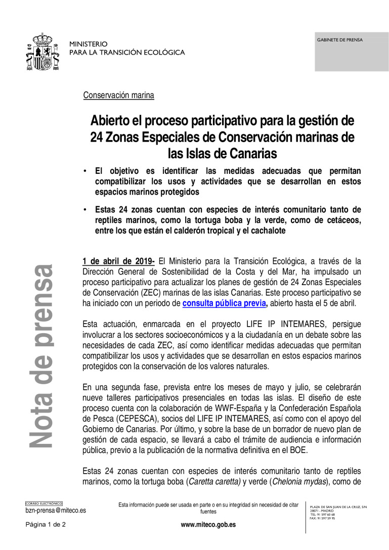 miniatura pdf