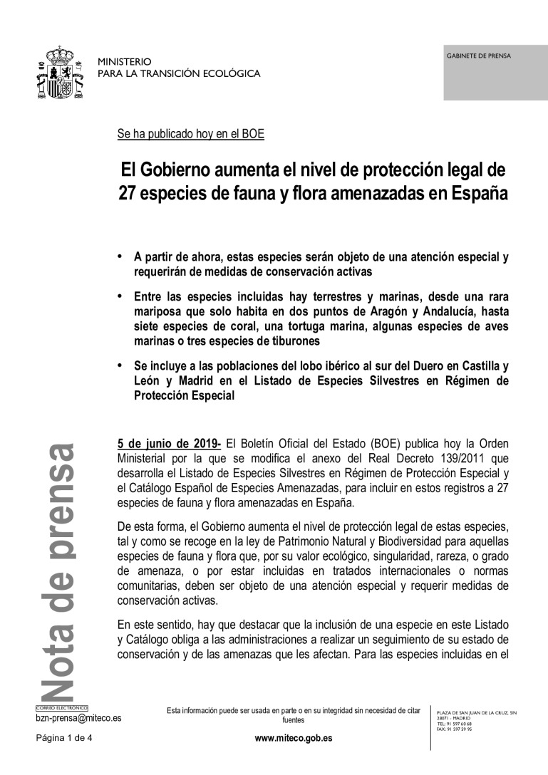 miniatura pdf