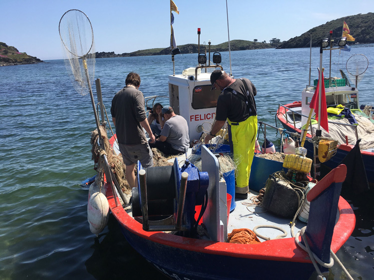 La Fundación Biodiversidad destina 5,1 millones de euros para apoyar 47 nuevos proyectos que refuercen la sostenibilidad de las actividades pesqueras y acuícolas.