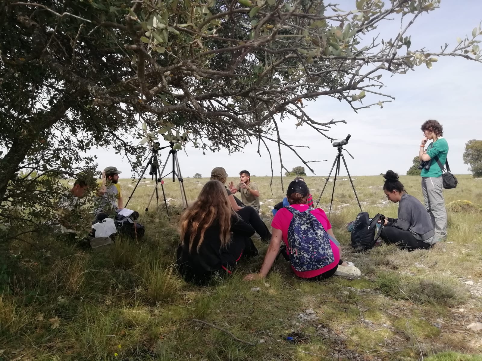 Curso de concienciación sobre Alondra Ricotí