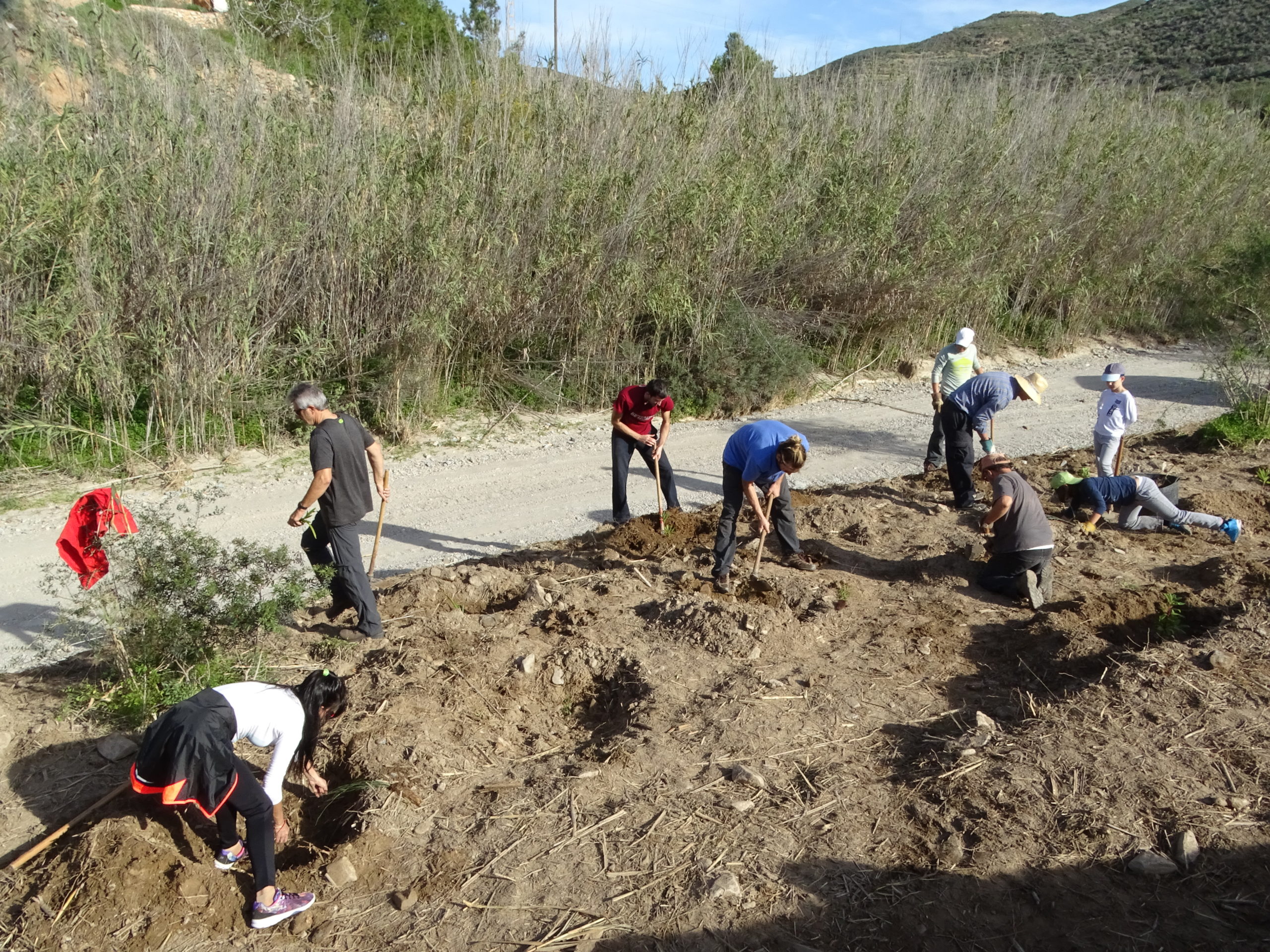 Restauración ecosistemas de rambla en ambientes semiáridos